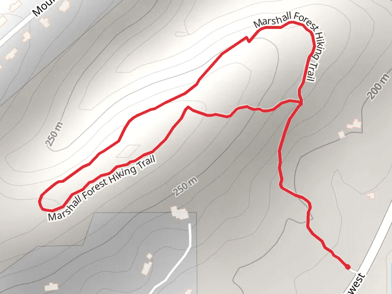 Marshall Forest Hiking Loop Trail