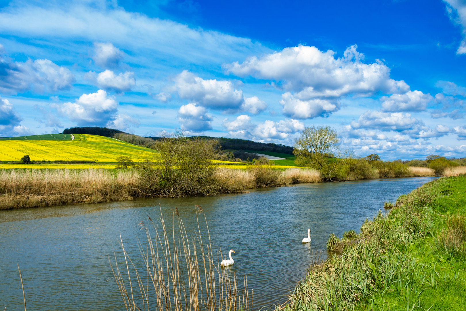 An image depicting the trail Arundel to Amberley and its surrounding area.