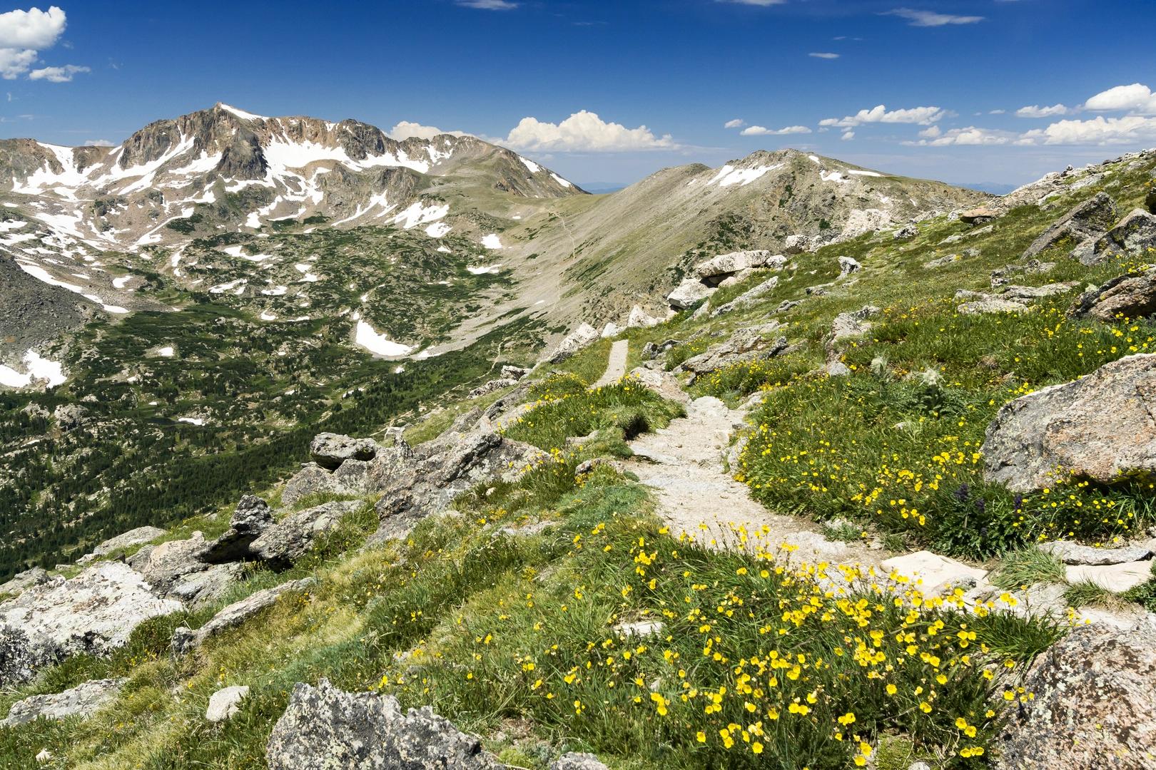 An image depicting the trail Continental Divide Trail - Colorado and its surrounding area.