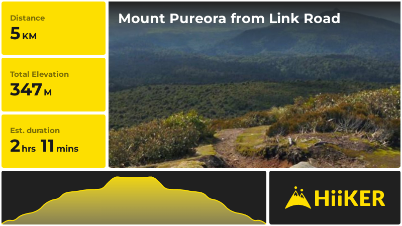 Mount Pureora from Link Road | Taupo | New Zealand