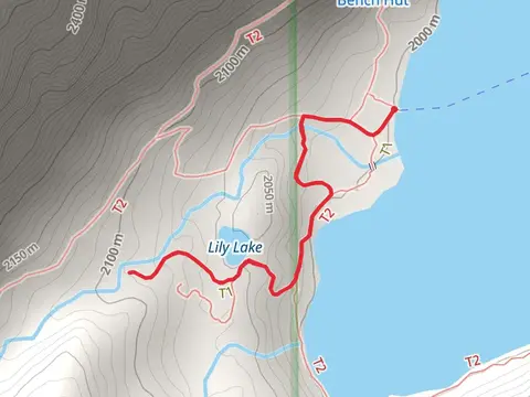 Grand Mogul Trail and Lily Lake