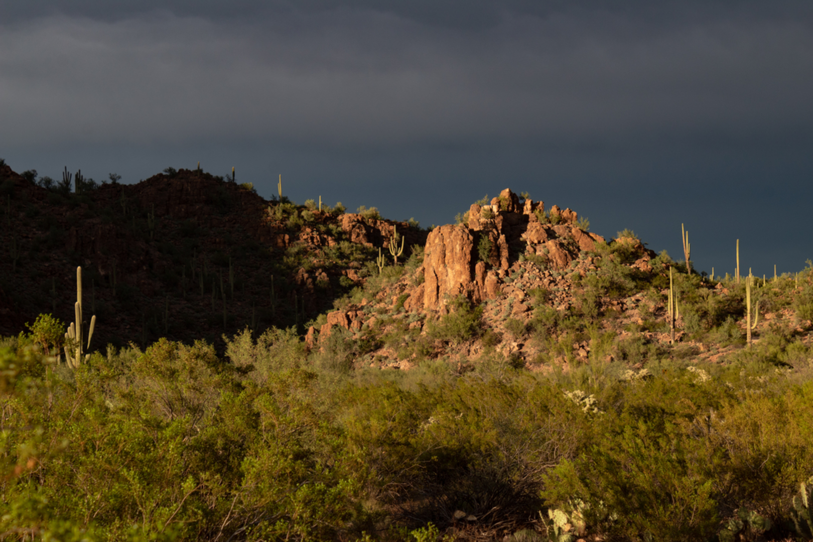 An image depicting the trail Ironwood Forest Trail via Cam - Boh Trail and its surrounding area.