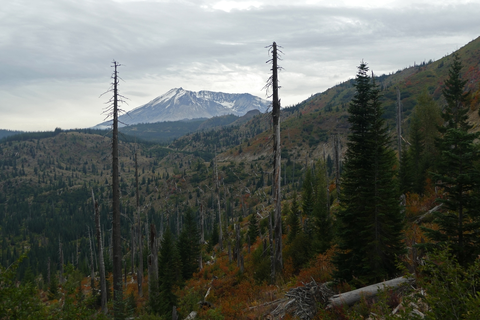 Blast Line Trail