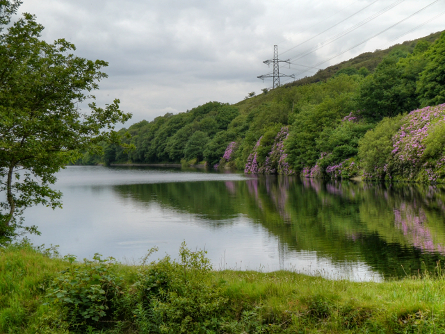 An image depicting the trail Stalybridge Country Park and Huddersfield Narrow Canal and its surrounding area.