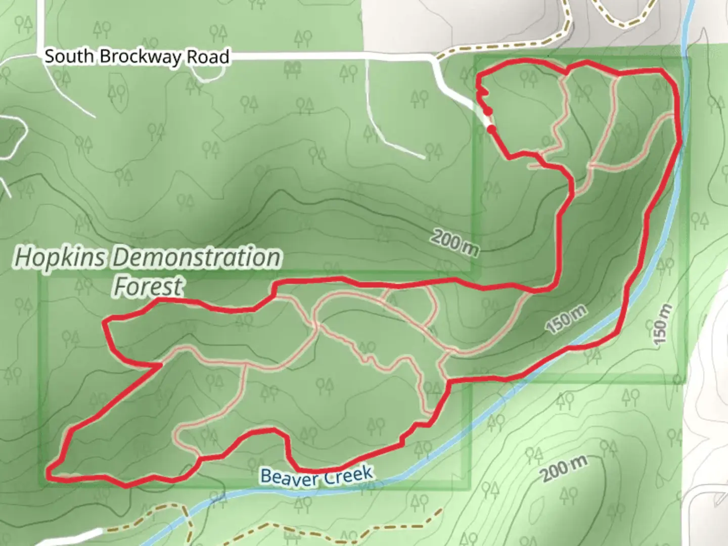 An image depicting the trail Hopkins Demonstration Forest and Beaver Creek Loop and its surrounding area.