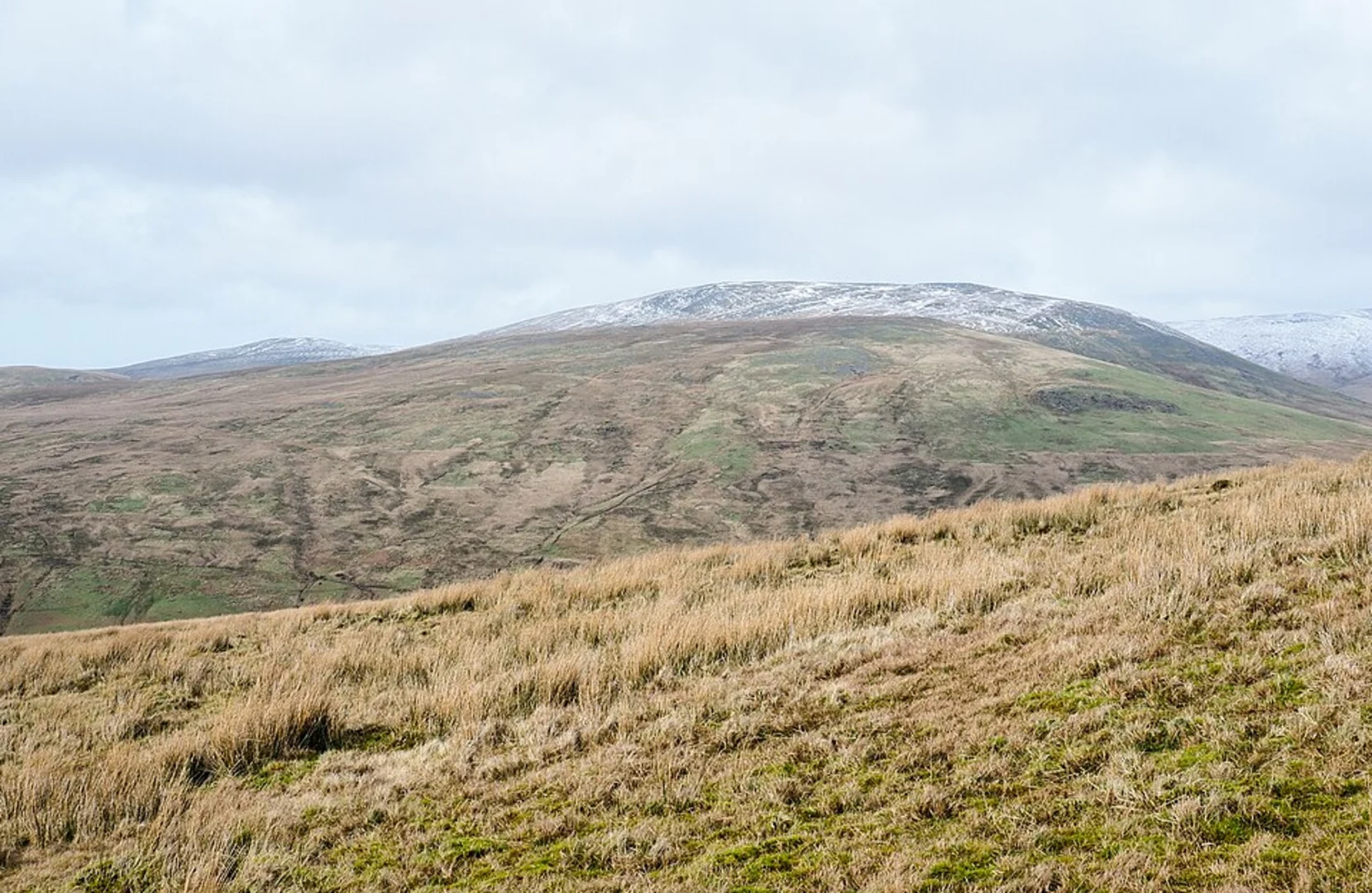 An image depicting the trail Swainson Walk and its surrounding area.