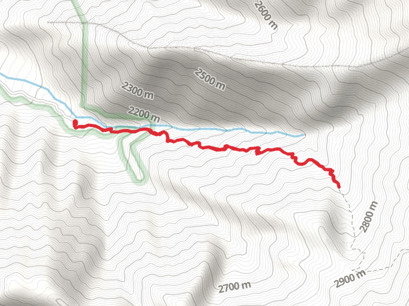 WIllow Creek Trail Out and Back