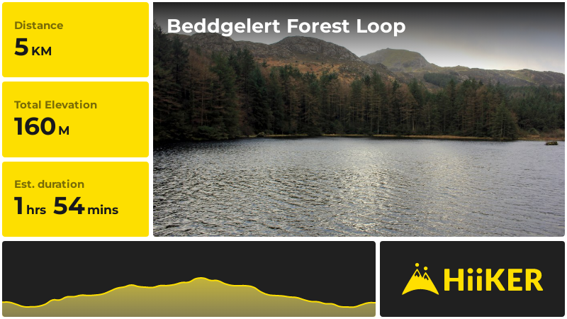 Beddgelert Forest Loop | Gwynedd | Wales
