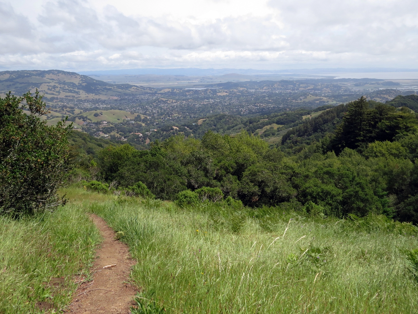 An image depicting the trail Big Trees Trail and Indian Tree Fire Road Loop and its surrounding area.