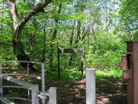 Hopwood Woodlands Nature Reserve and Lord's Wood Loop