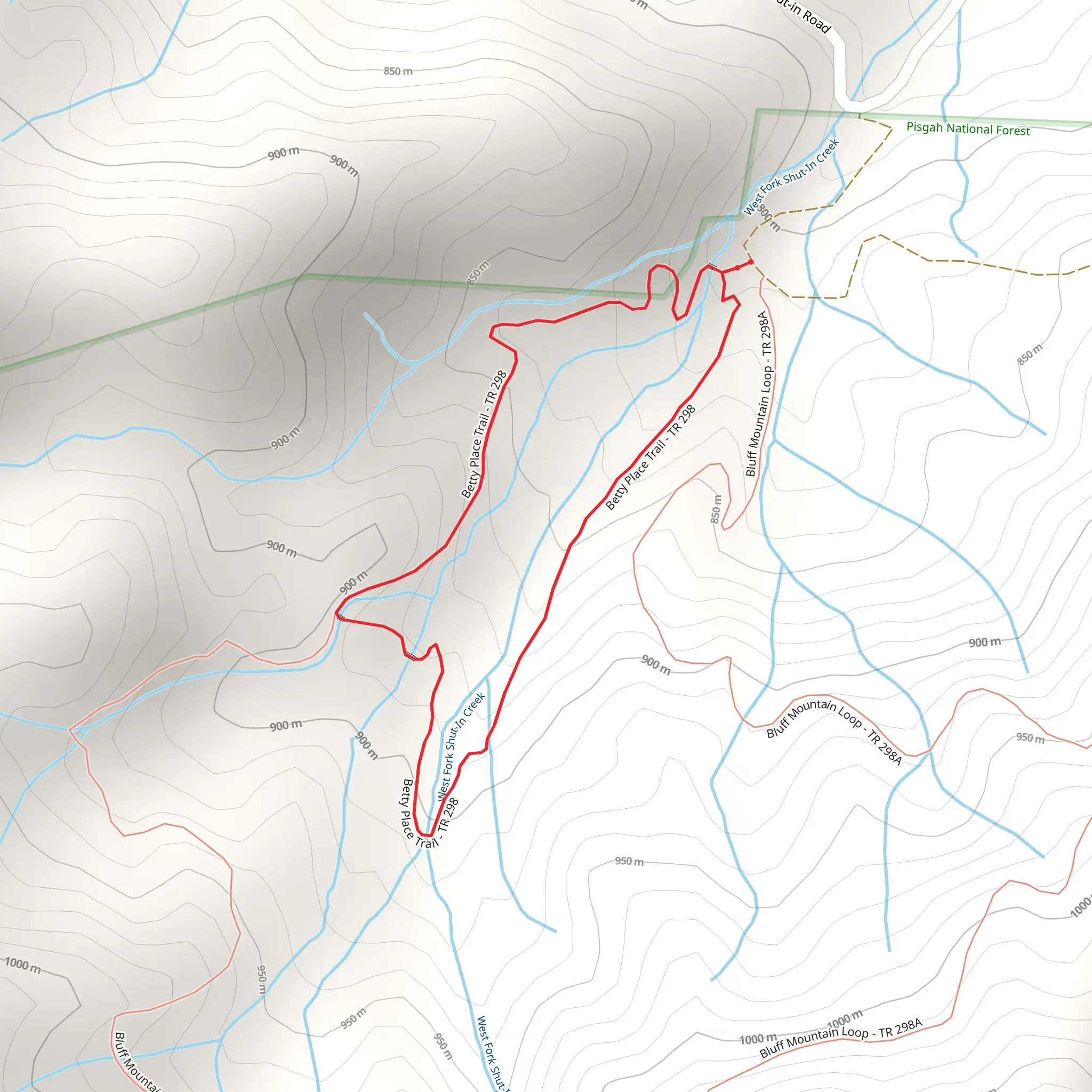 Betty Place Trail mobile static map