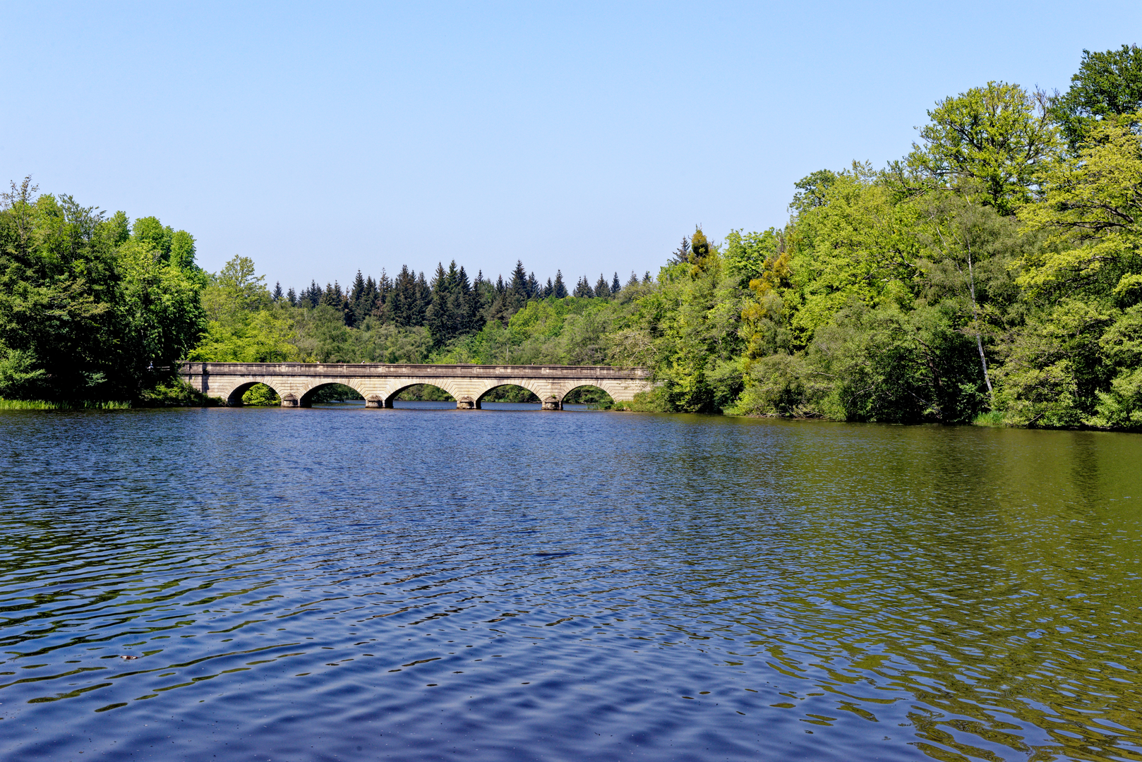 An image depicting the trail A Circuit of Virginia Water and its surrounding area.