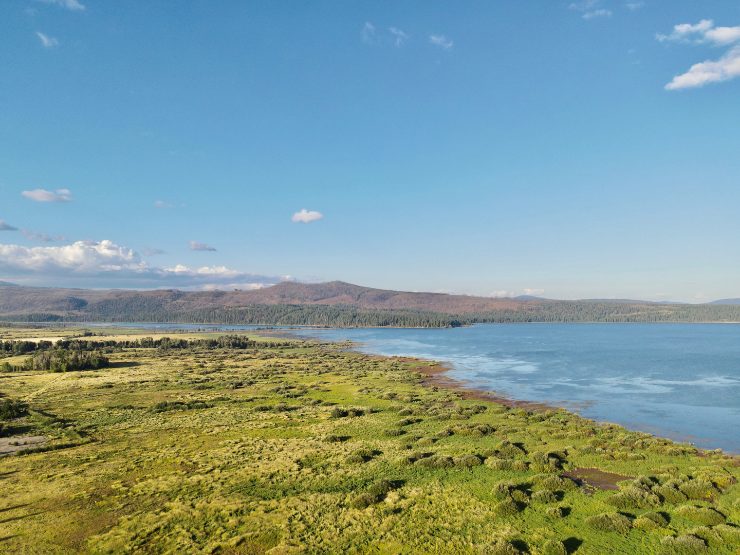 An image depicting the trail Almanor Recreation Trail and its surrounding area.
