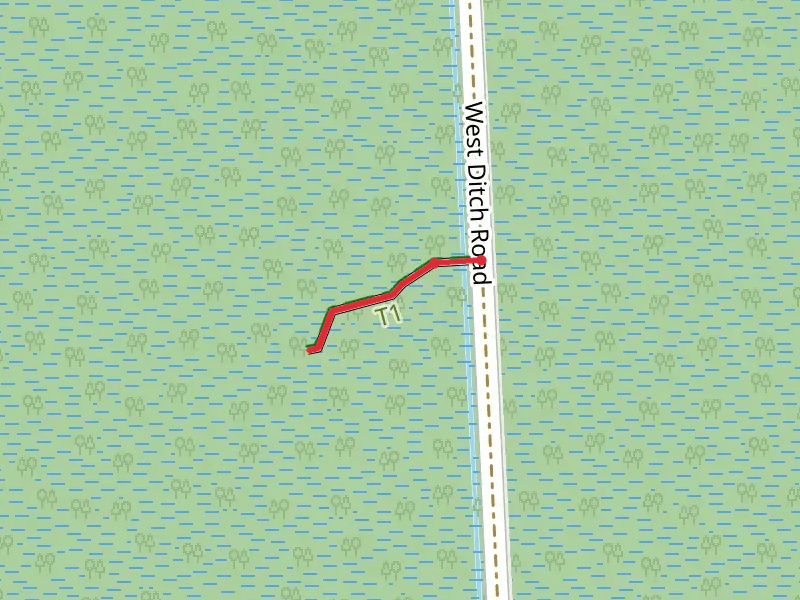 West Ditch Boardwalk