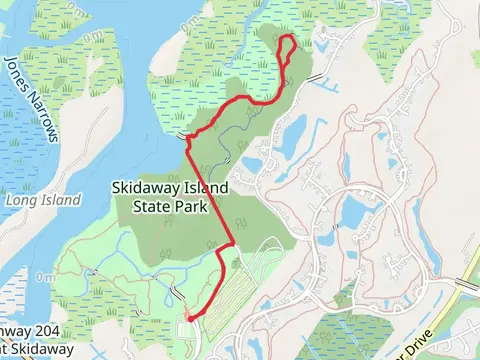 Big Ferry Loop Trail and Skidaway Island Park Road