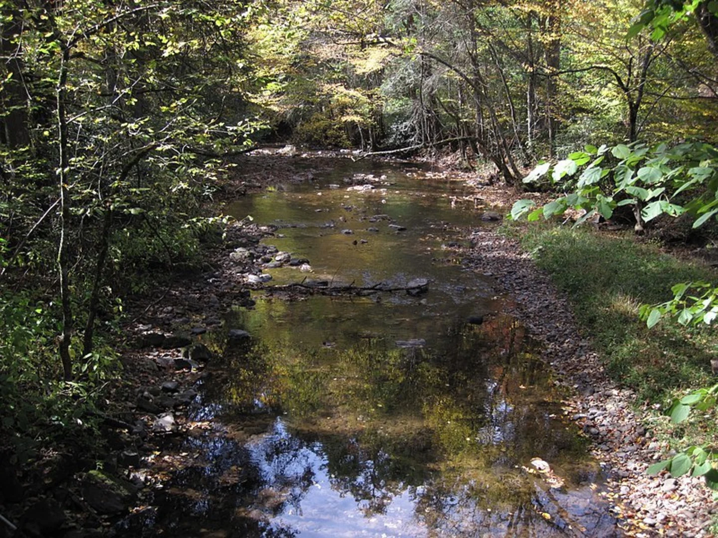 An image depicting the trail Whitetop Laurel Trail and its surrounding area.
