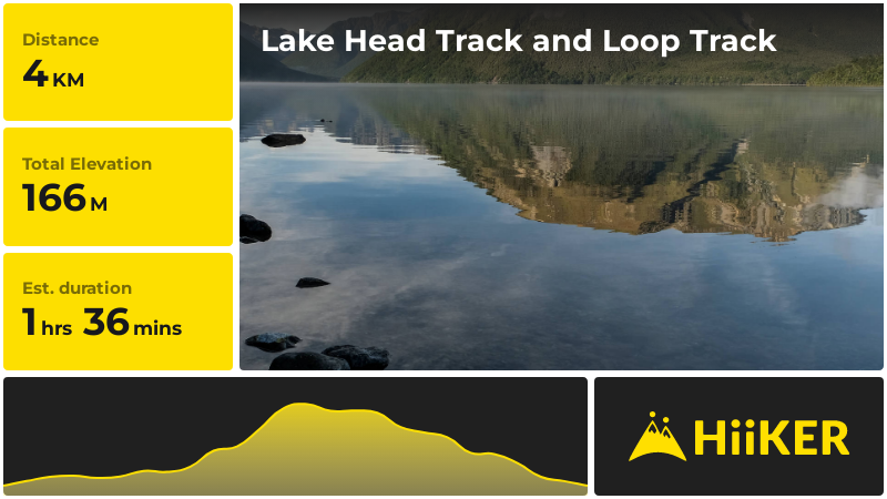 Lake Head Track and Loop Track | Tasman Region | New Zealand