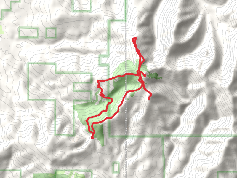 Indian Pits, Silver Star Mountain, Ed's and Tarbell Loop Trail