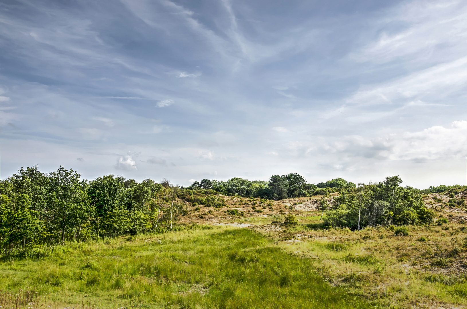 An image depicting the trail Spartelvijver and Weever's Duin via Locomotiefpad and its surrounding area.