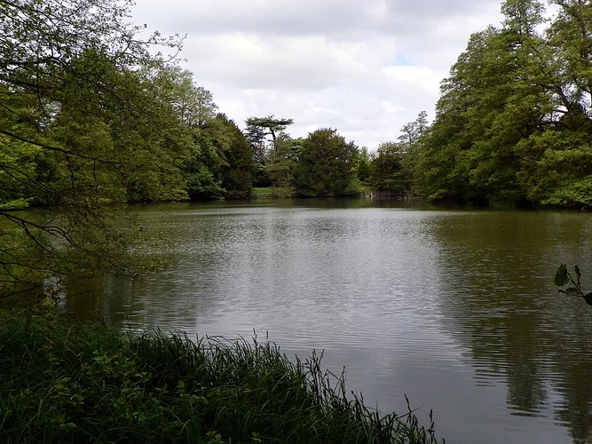 Upper Drakeloe Pond and Milton Wood