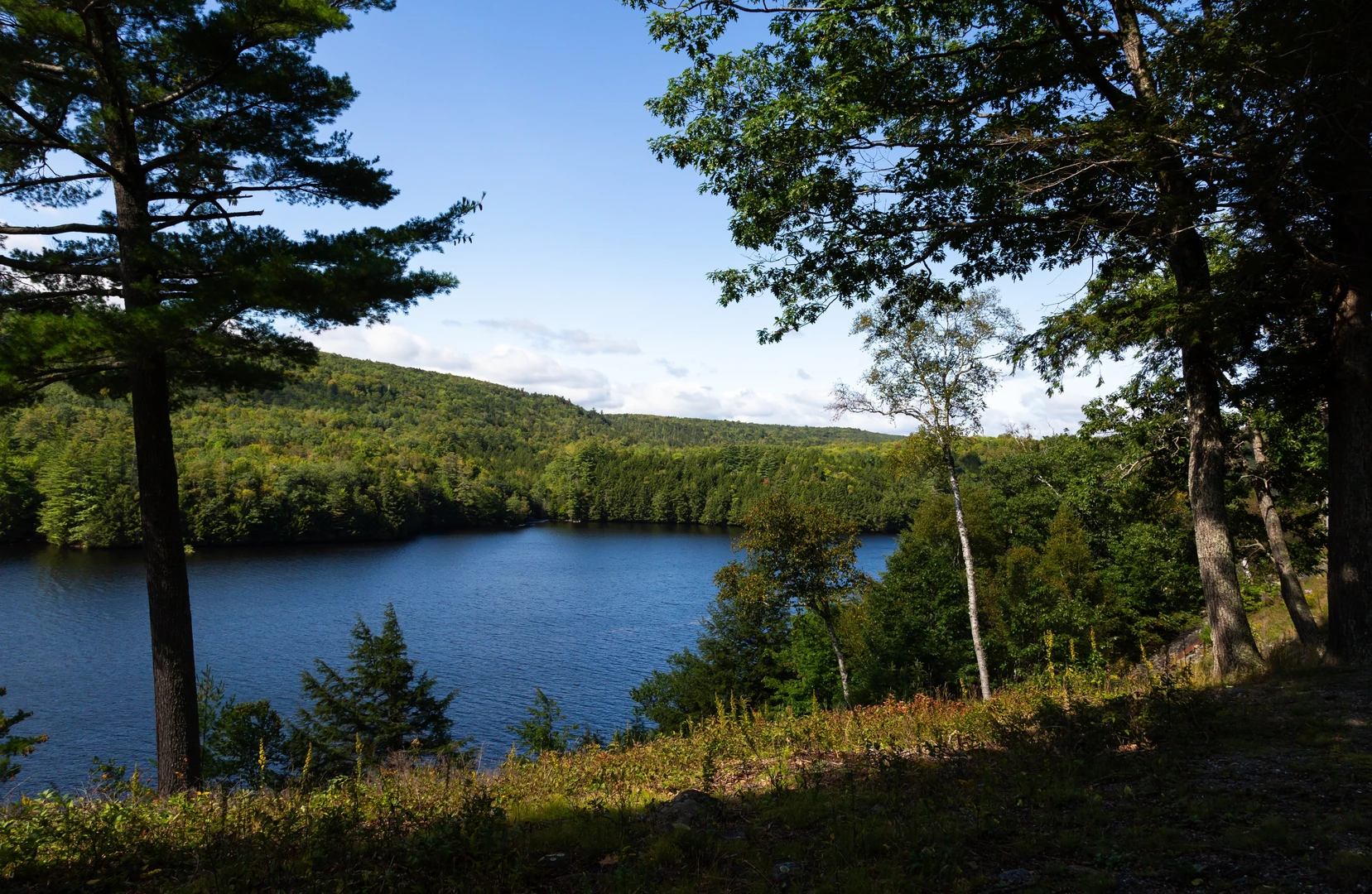 An image depicting the trail Kennebec River via Philbric Trail and its surrounding area.
