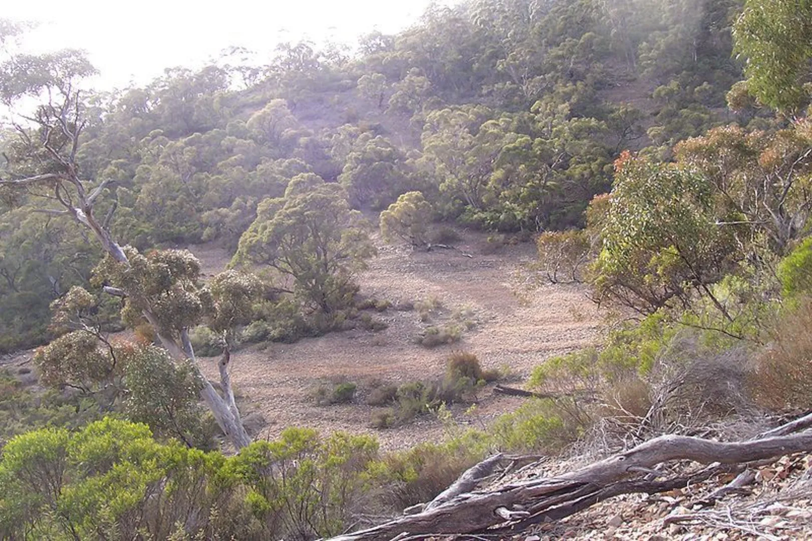 An image depicting the trail Hidden Gorge - Mambray Creek Track and its surrounding area.