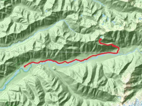 Hoh Lake and Hoh River Trail