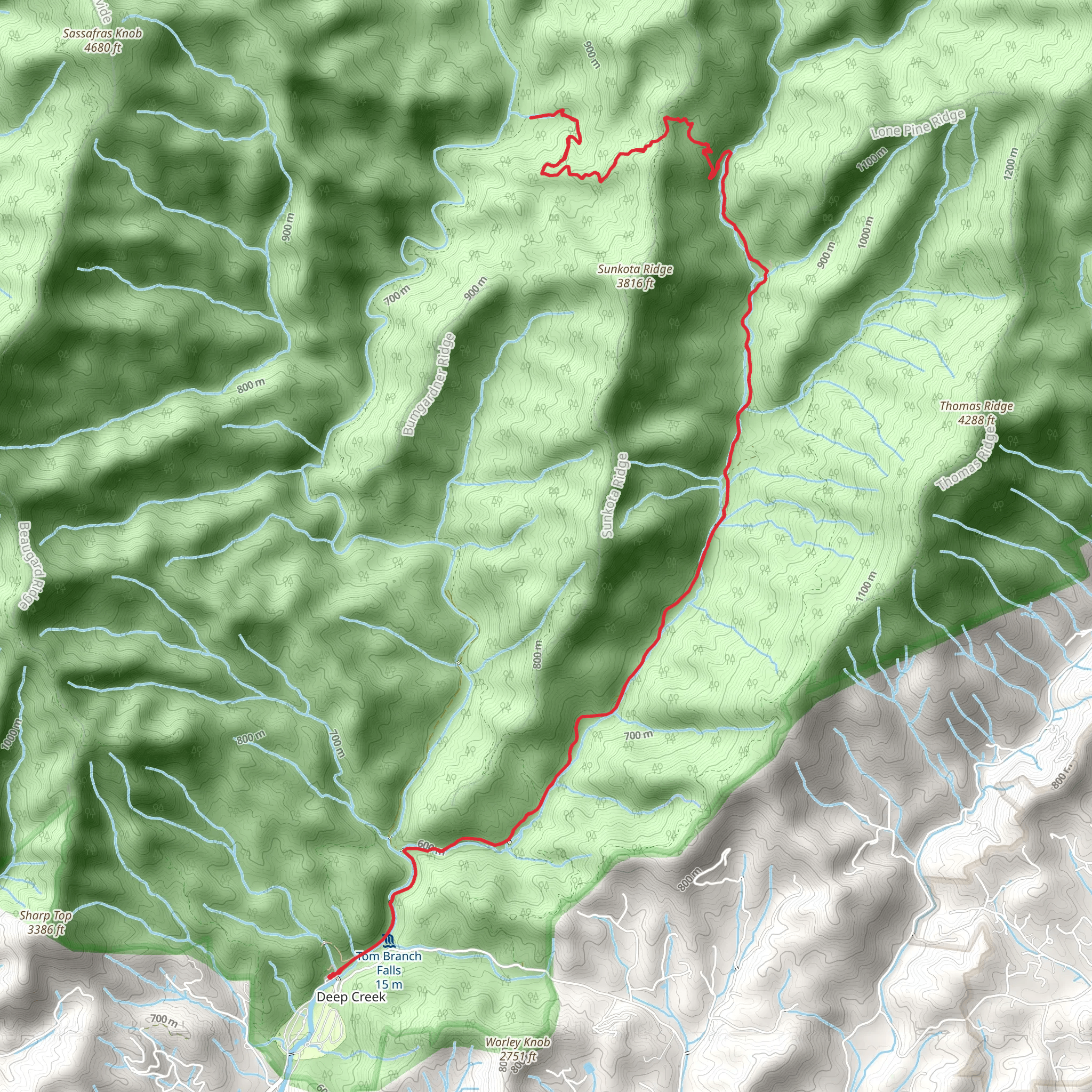 Indian Creek and Martins Gap Trail mobile static map