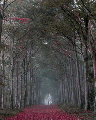 Fleam Dyke and Roman Road Walk