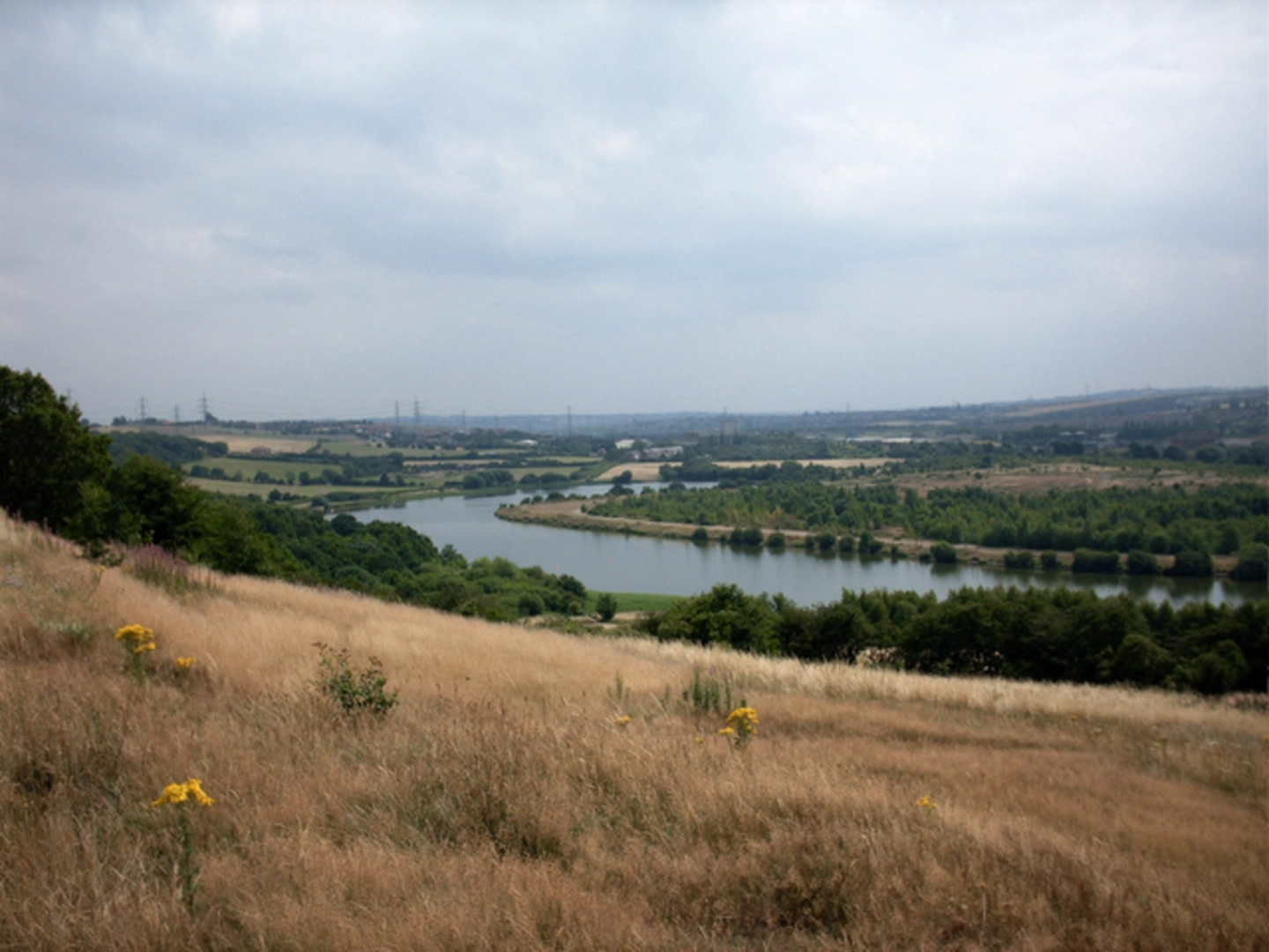 An image depicting the trail Treeton Dyke, Hail Mary Hill Wood and Waverley Country Park Loop and its surrounding area.