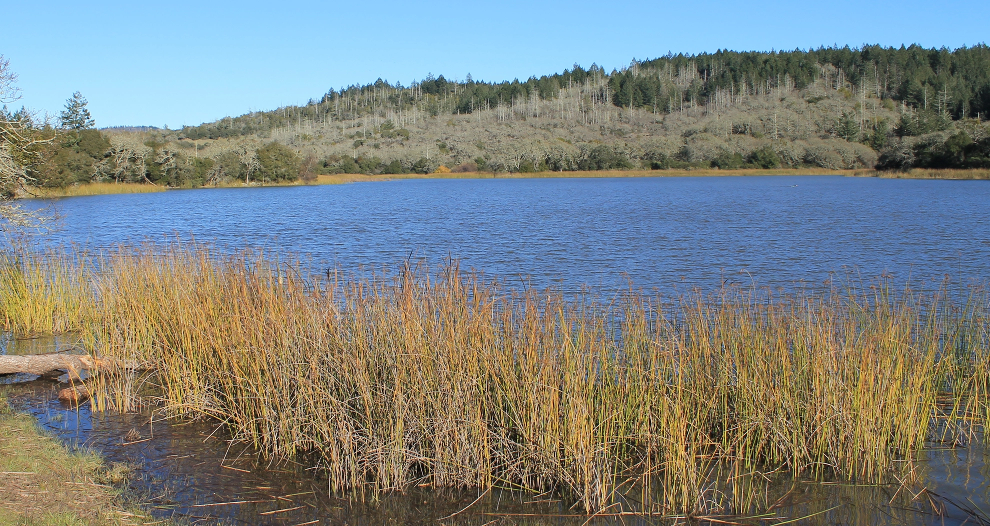An image depicting the trail Lake Ilsanjo via Spring Creek Trail and its surrounding area.