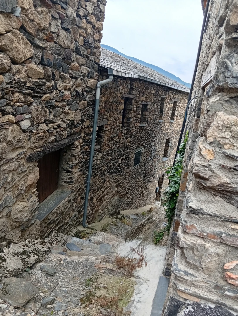 An image depicting the trail Prat primer des de Sant Julià pel coll de la Caülla and its surrounding area.