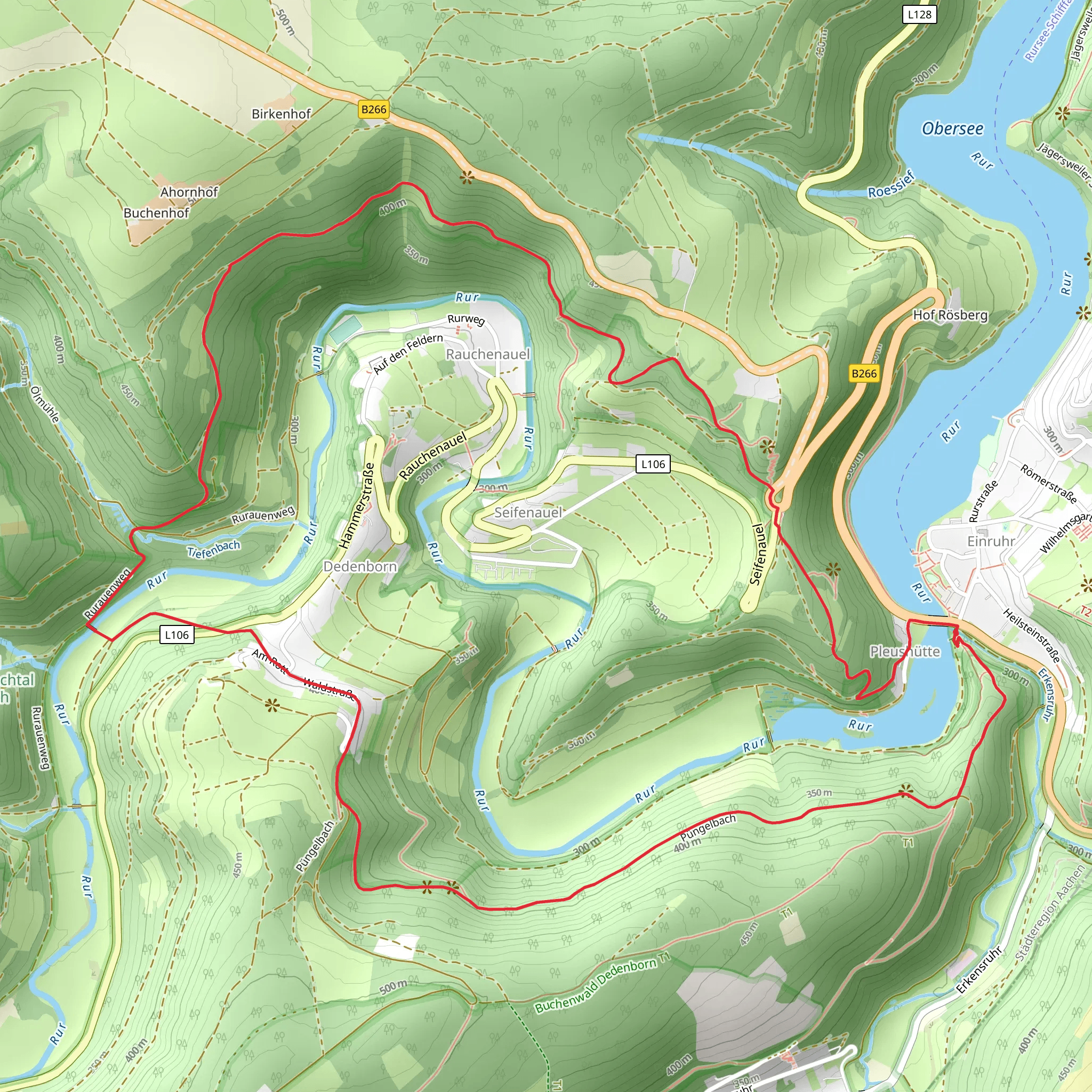 Matthiasweg and Eifelsteig Loop mobile static map