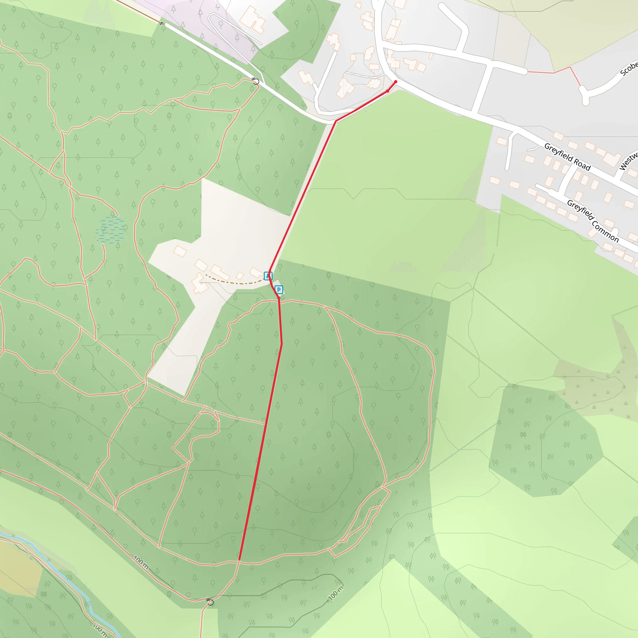 Greyfield Woods mobile static map