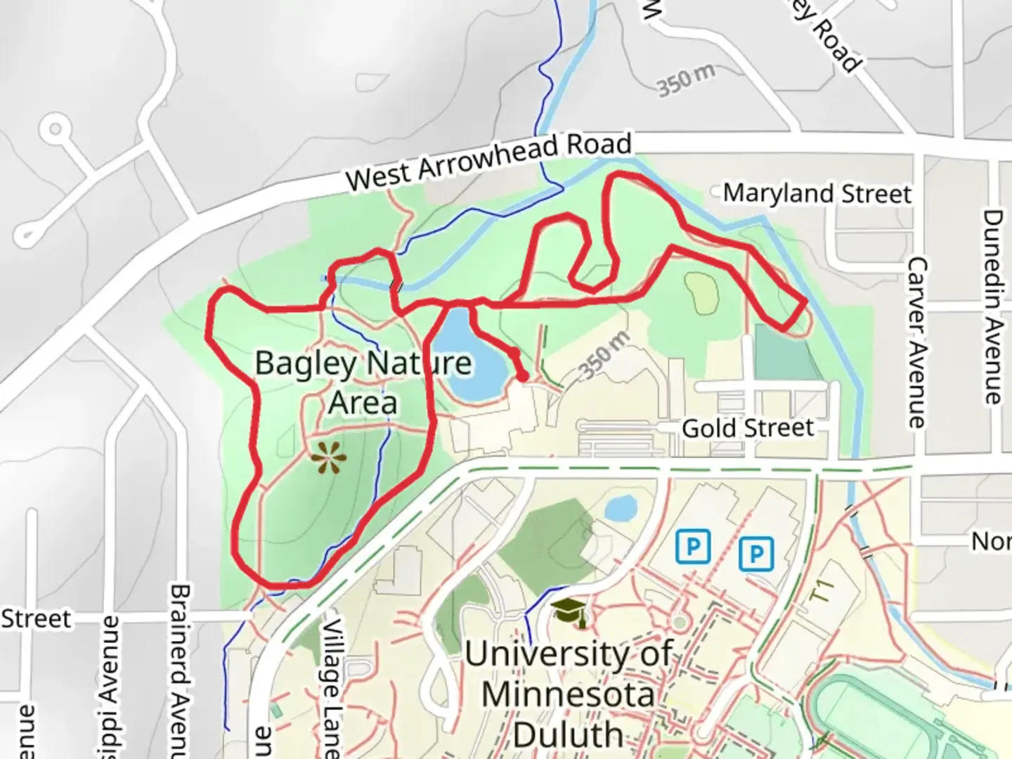 An image depicting the trail Rock pond via Bagley Trail west Loop and its surrounding area.
