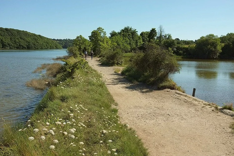 St Clement and Tresemple Pond Loop from Truro