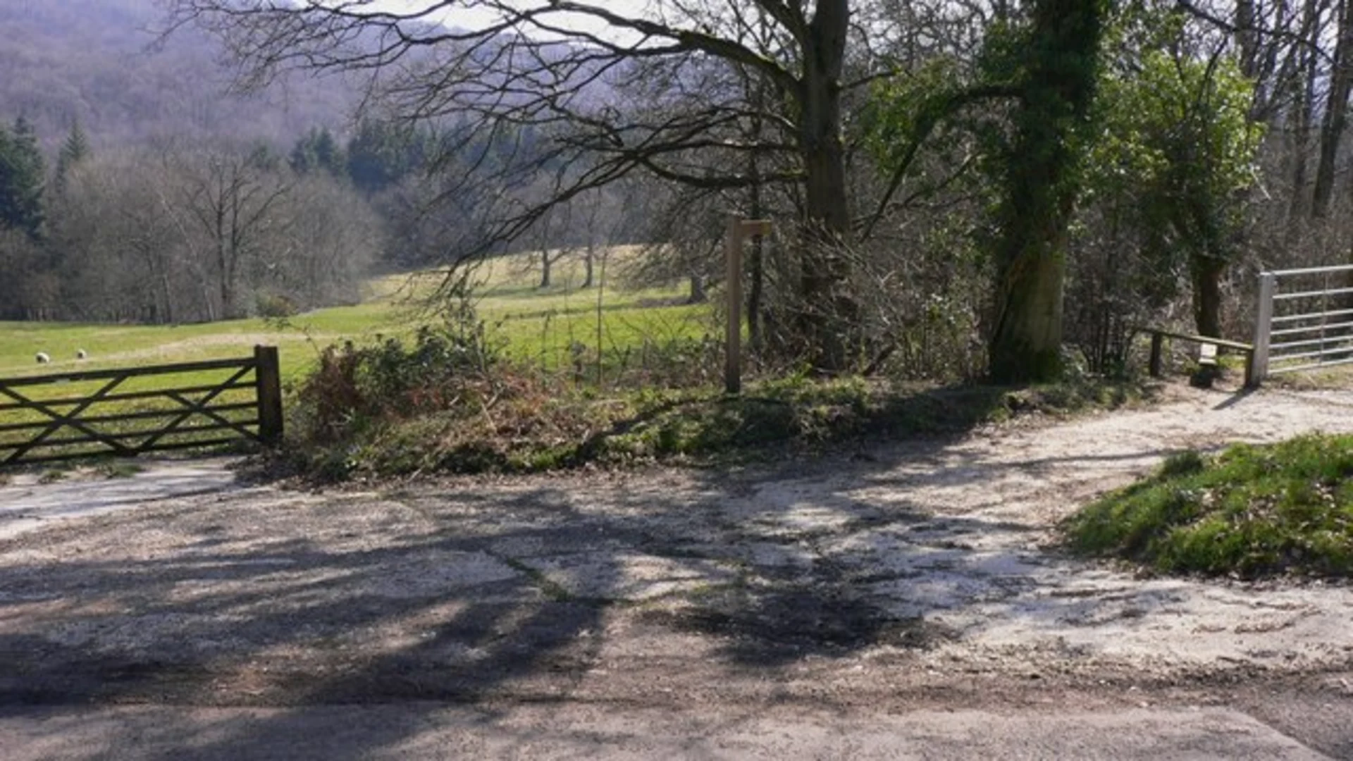 An image depicting the trail Haslemere to Fernhurst Trail and its surrounding area.