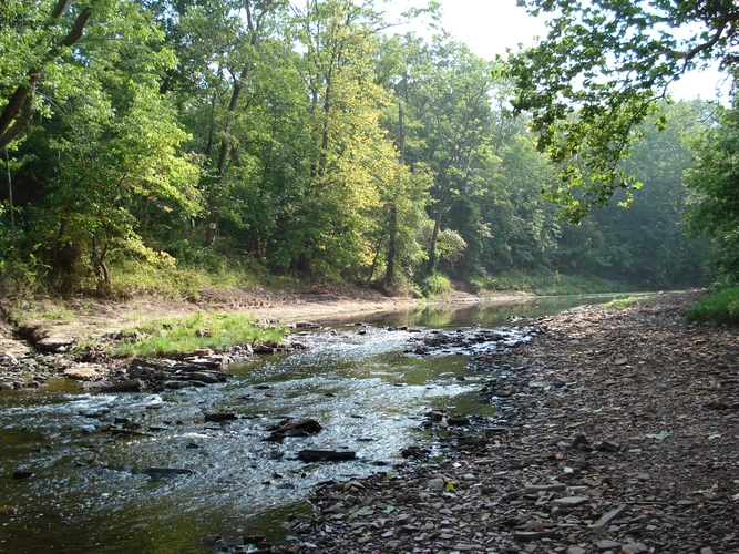 Skippack Creek Loop