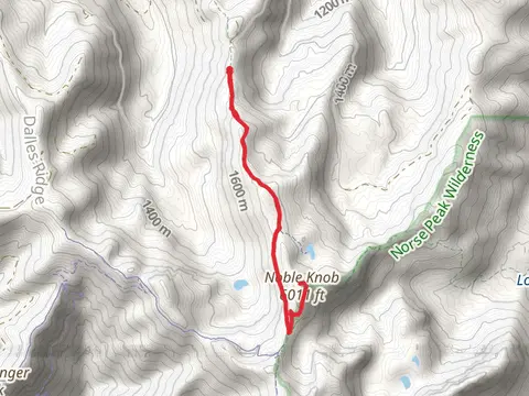 Noble Knob Out and Back