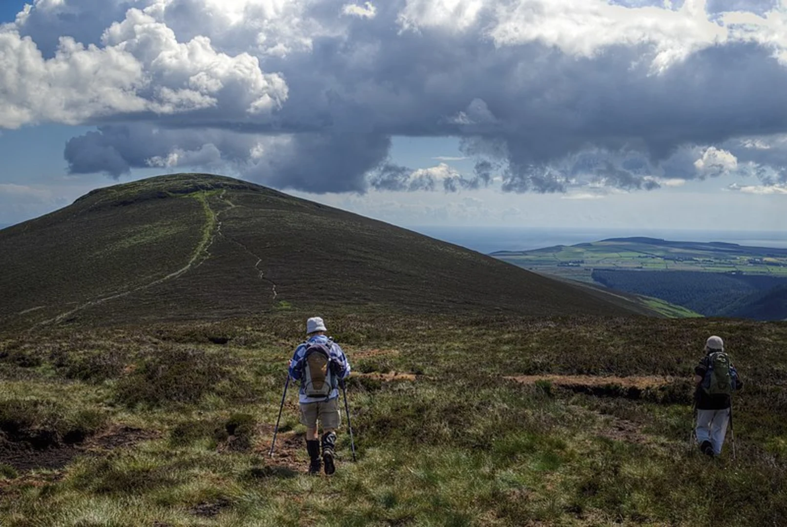 An image depicting the trail Tonduff and War Hill Loop and its surrounding area.