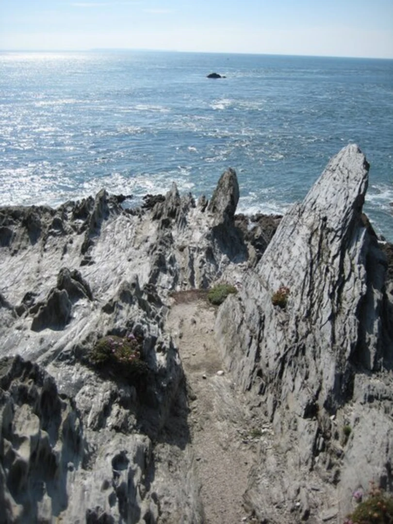 An image depicting the trail Morte Point and Damagehue Rock via SWCP and its surrounding area.