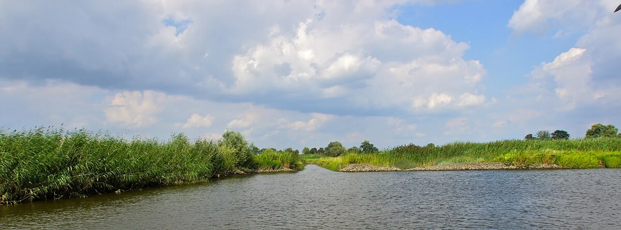 An image depicting the trail Borghorster Bahn via Rundweg and its surrounding area.