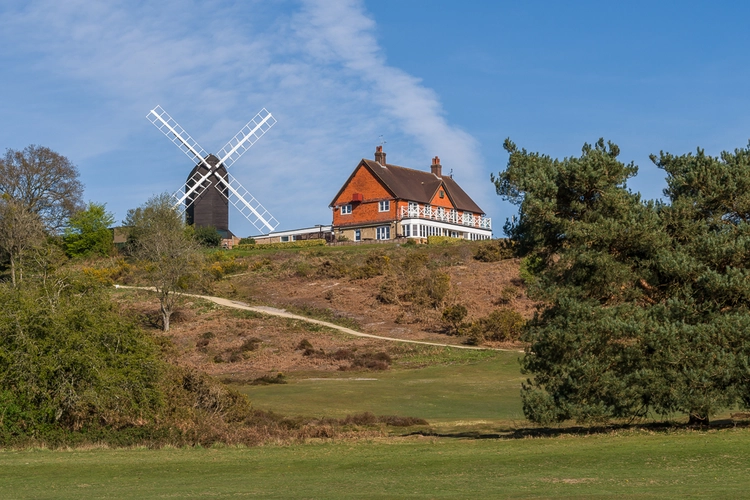 Reigate Heath Loop