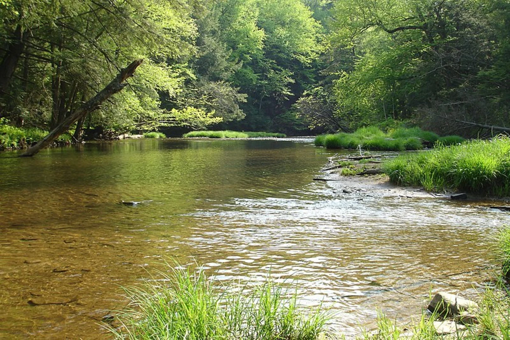 An image depicting the trail Kinzua Valley Trail and its surrounding area.