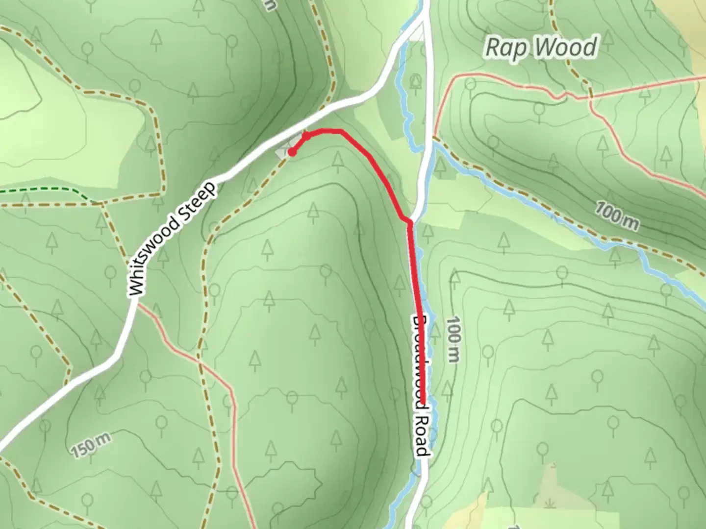 An image depicting the trail Tall Trees Trail - Douglas Fir and its surrounding area.