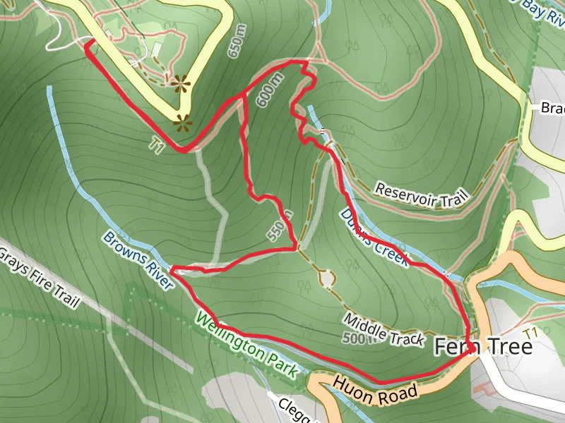 Fern Tree to The Springs Loop Trail