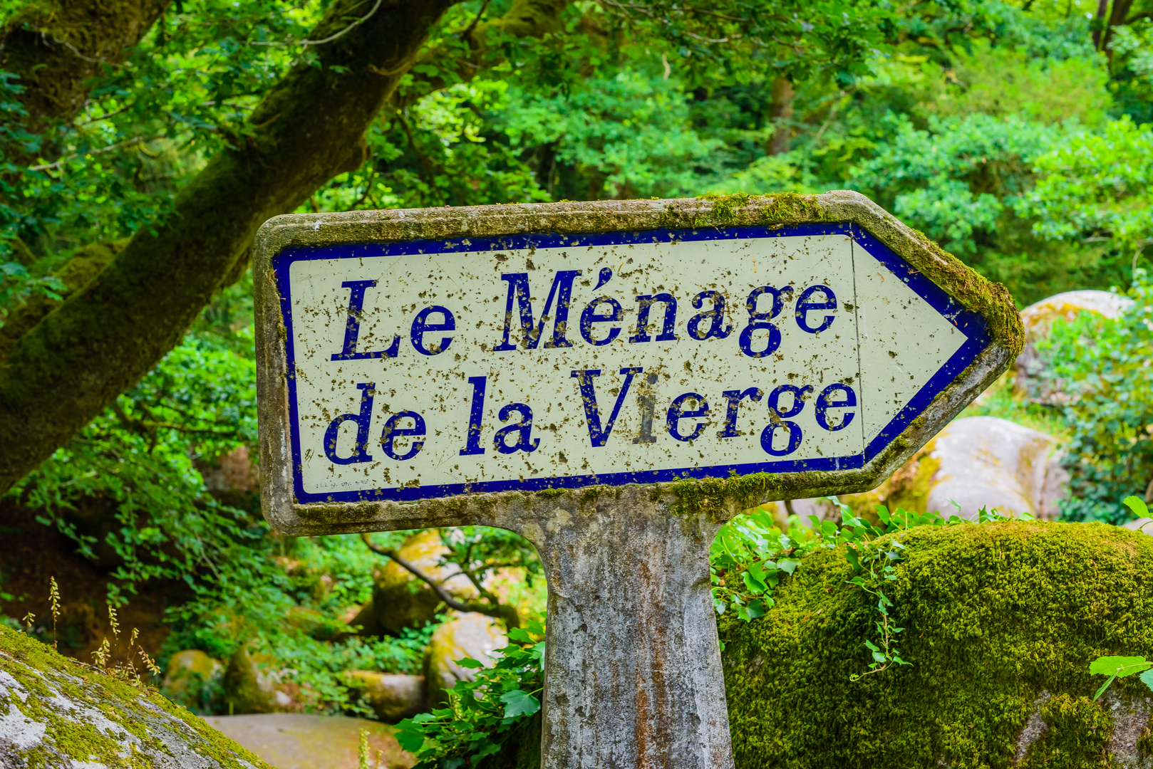 An image depicting the trail GR 380 - Tour des Monts d'Arrée and its surrounding area.