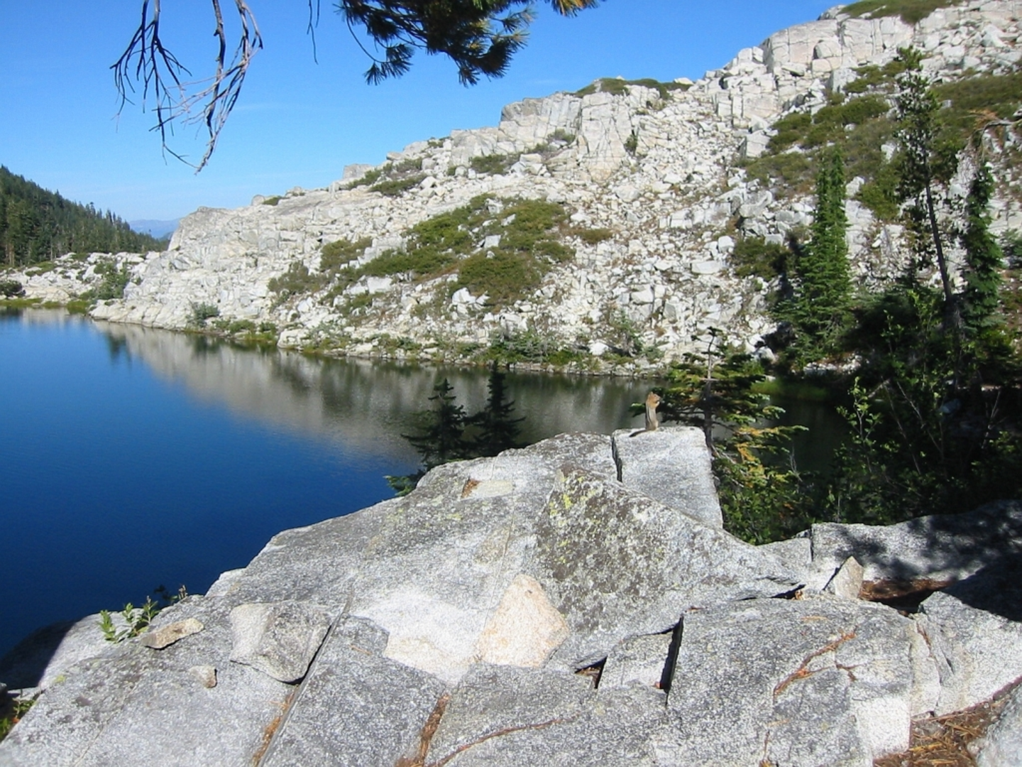 An image depicting the trail Lion Lake, Foster Lake and Convey Lake via Deer Flat Trail and its surrounding area.
