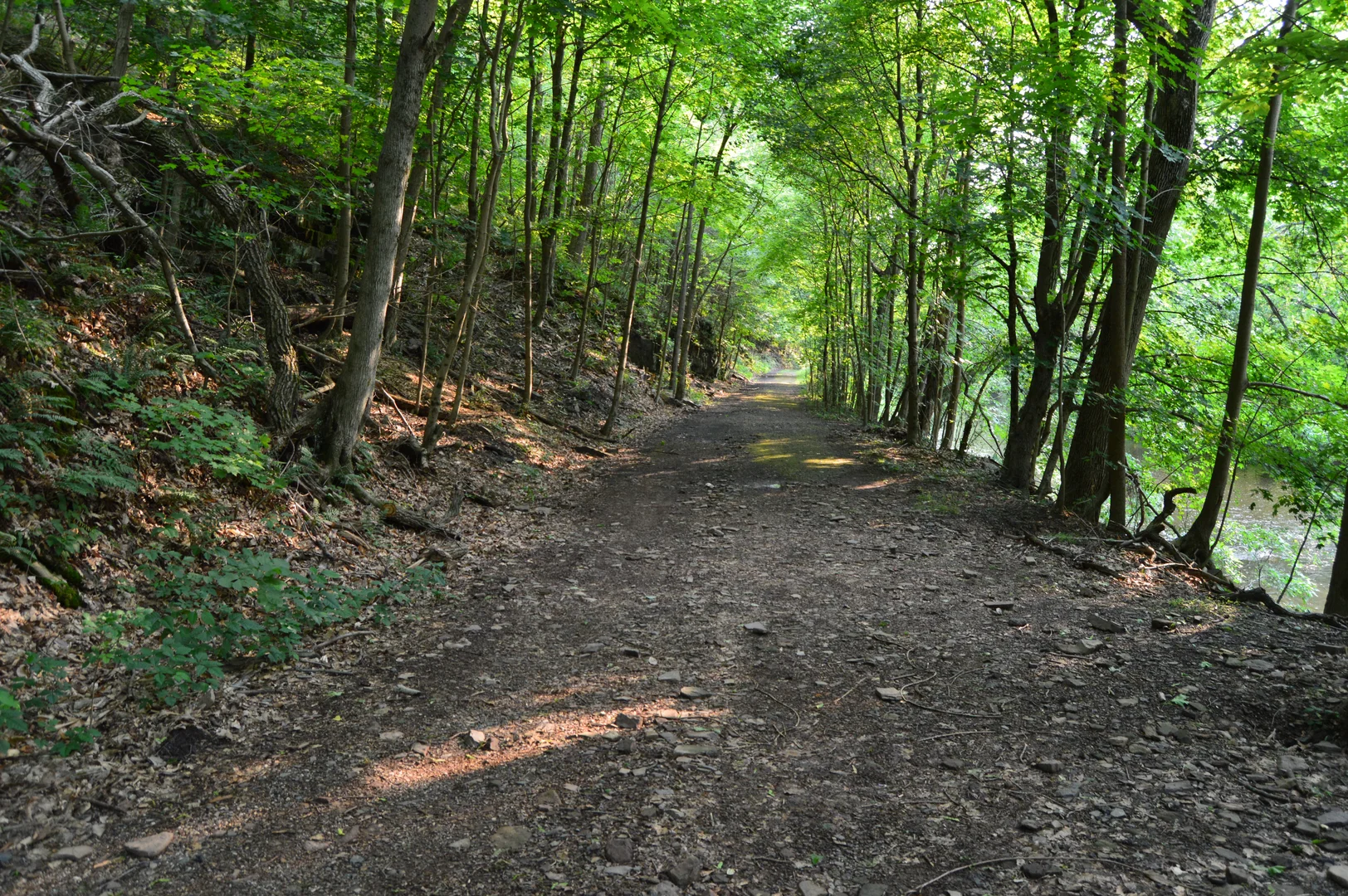 An image depicting the trail Skippack Creek Loop -Skippack Creek Road and its surrounding area.