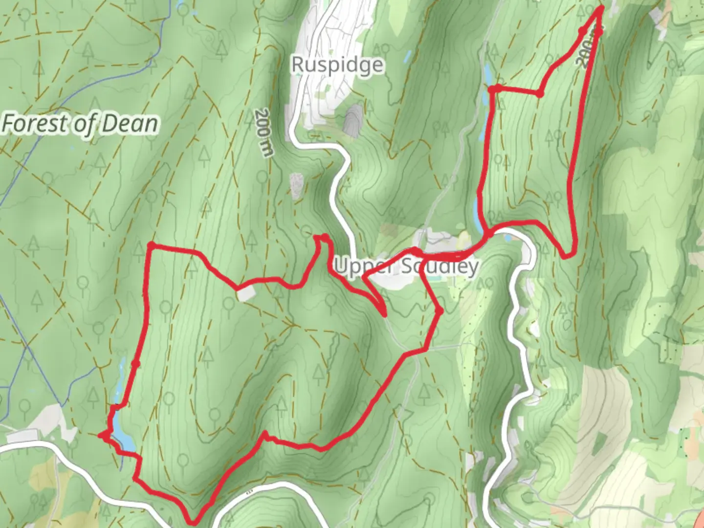 An image depicting the trail Soudley Ponds and Mallards Pike and its surrounding area.